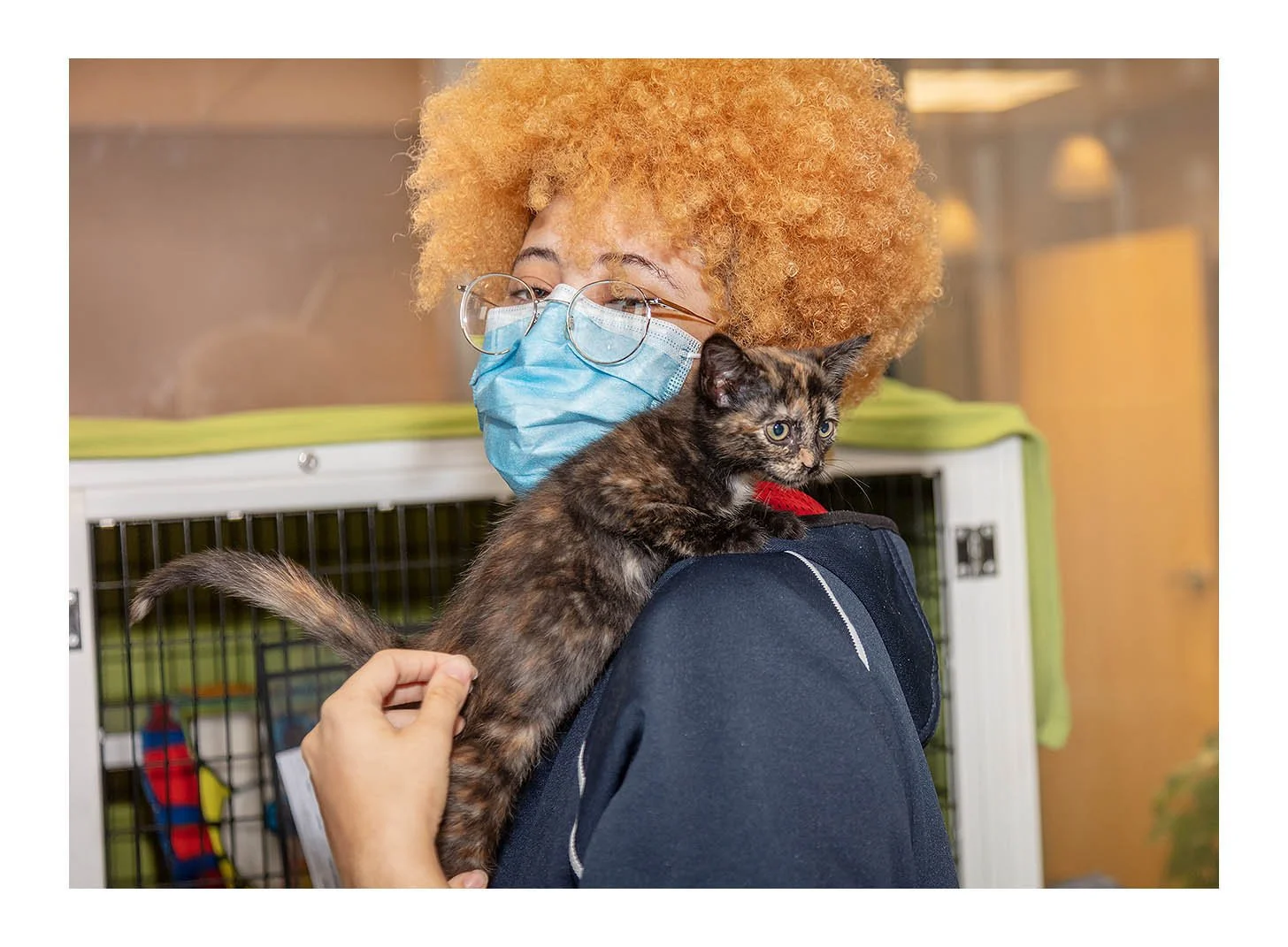 Empty The Shelters Event