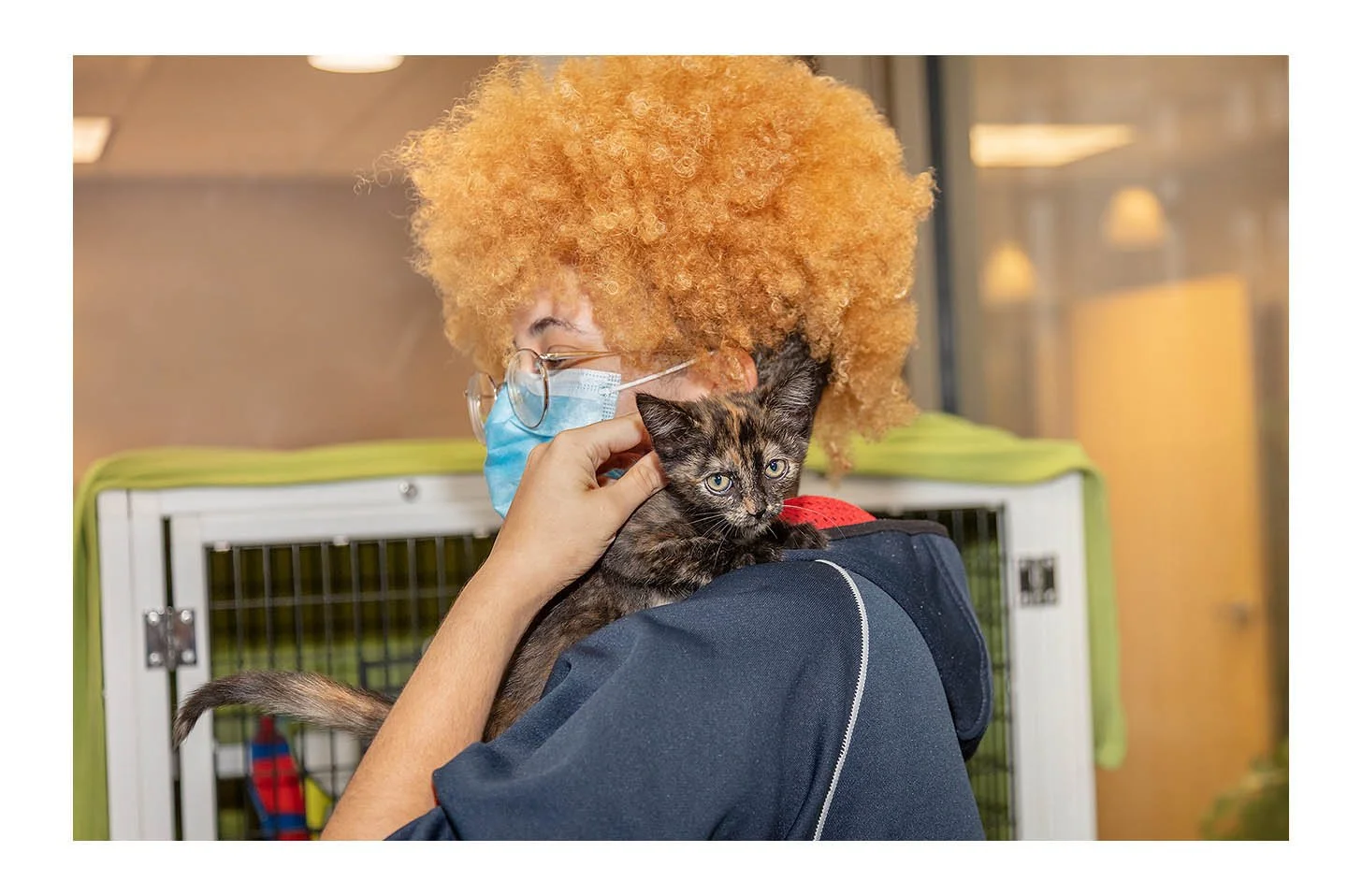 Empty The Shelters Event