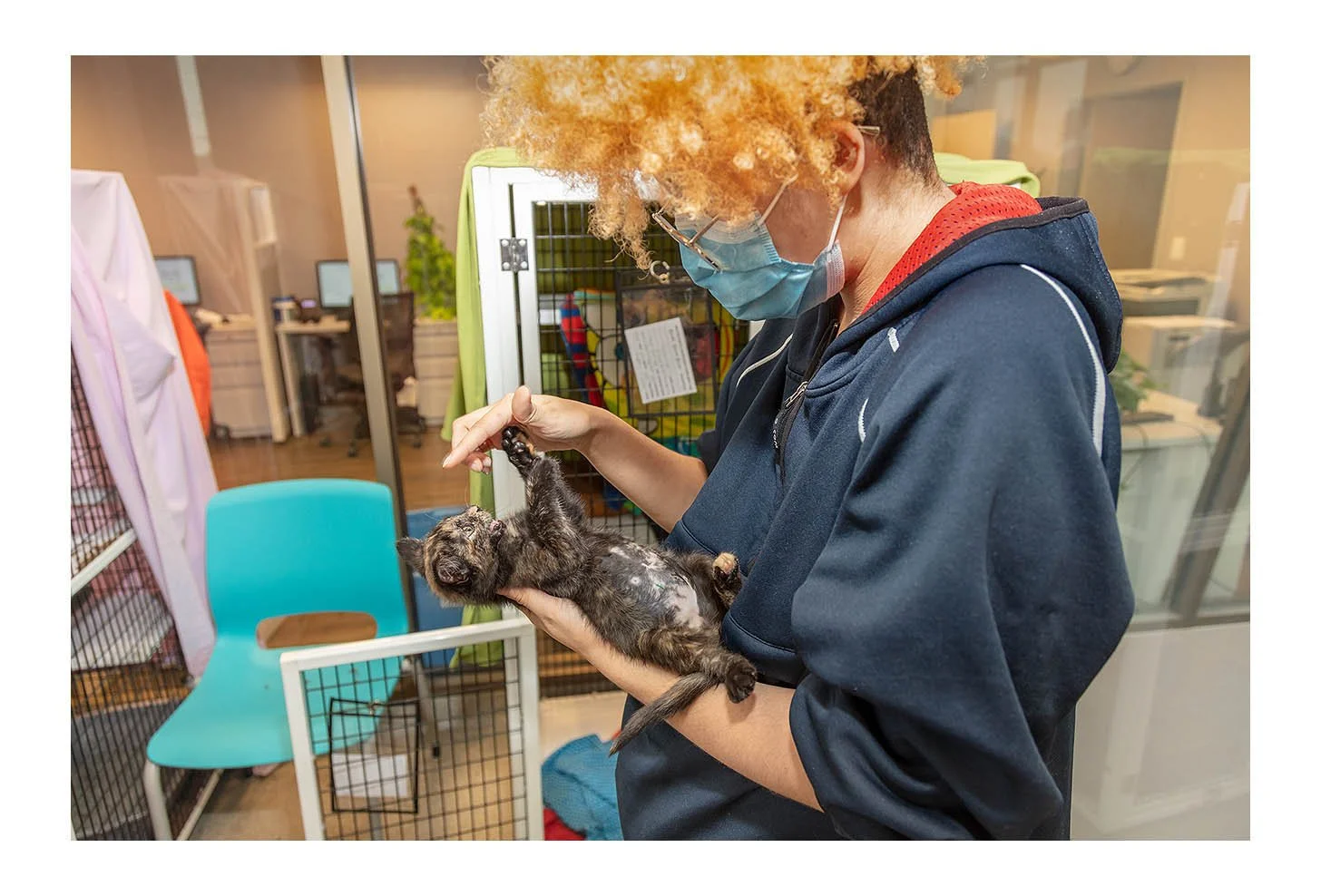 Empty The Shelters Event