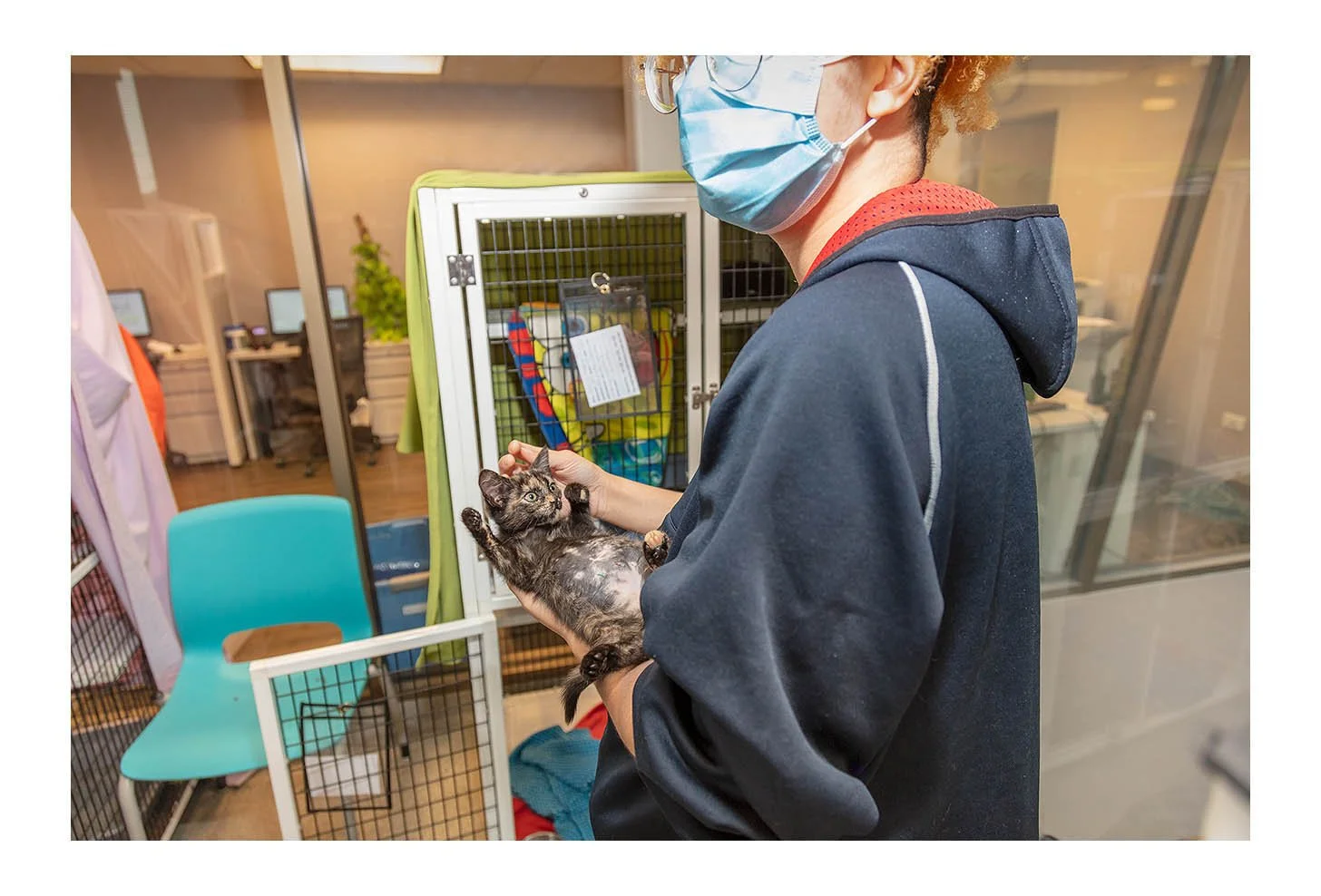 Empty The Shelters Event