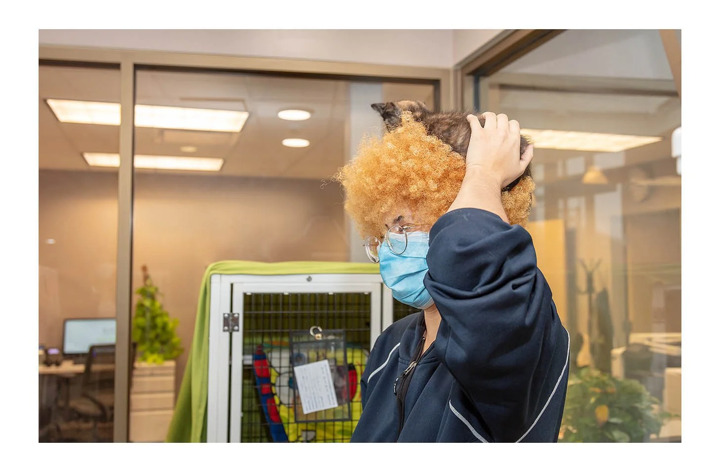 Empty The Shelters Event
