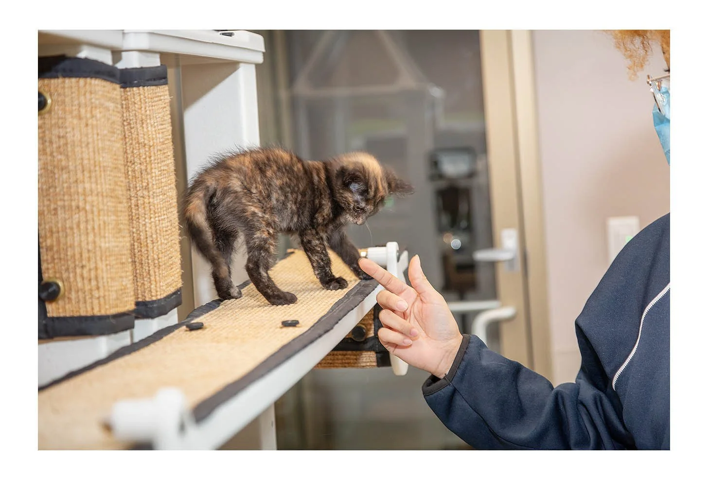 Empty The Shelters Event