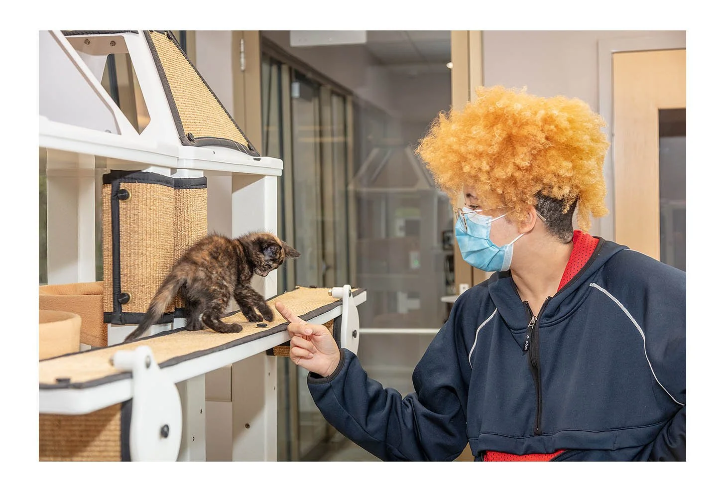 Empty The Shelters Event