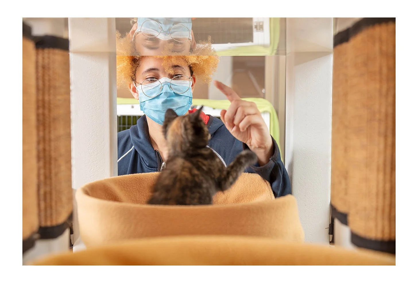 Empty The Shelters Event