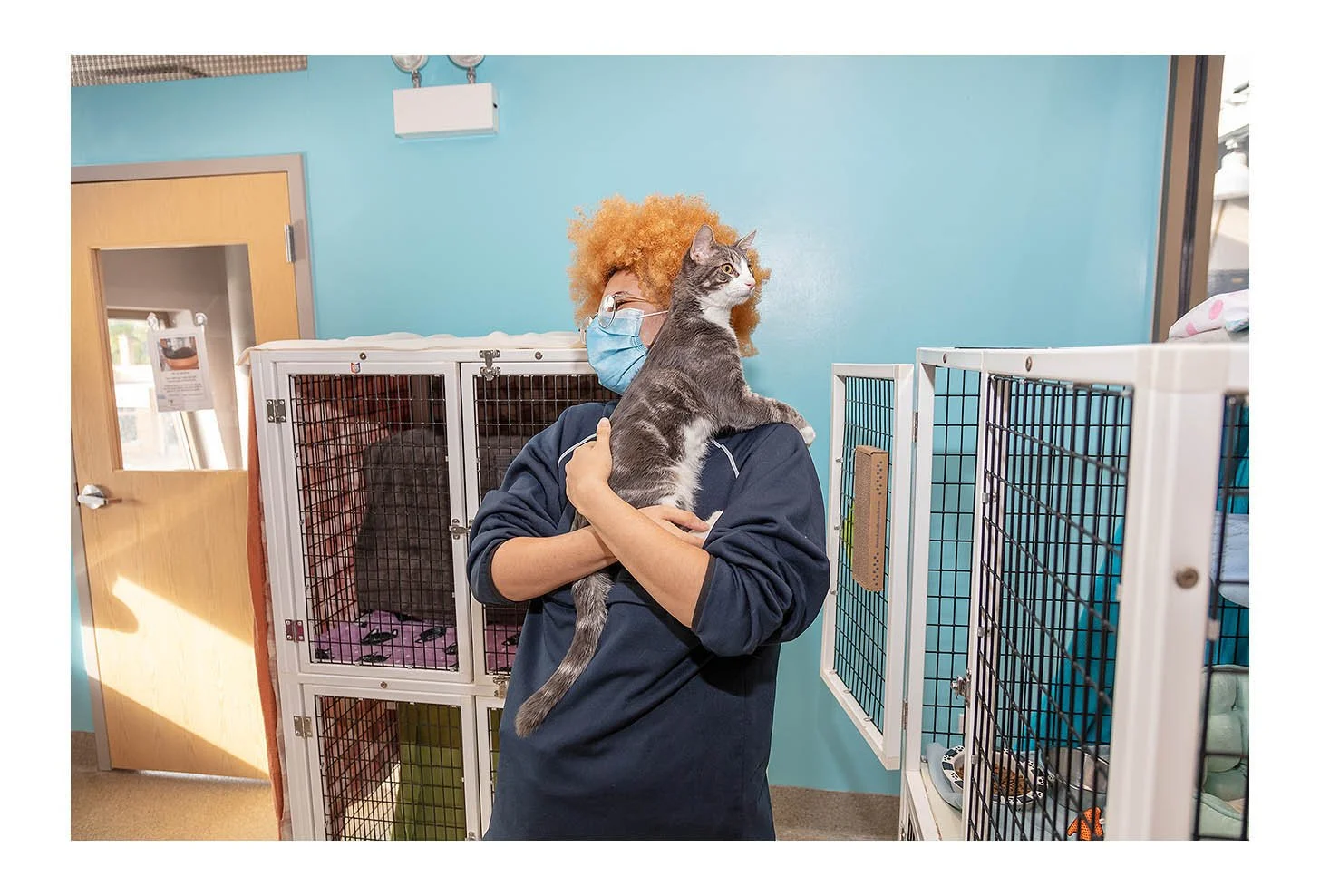 Empty The Shelters Event