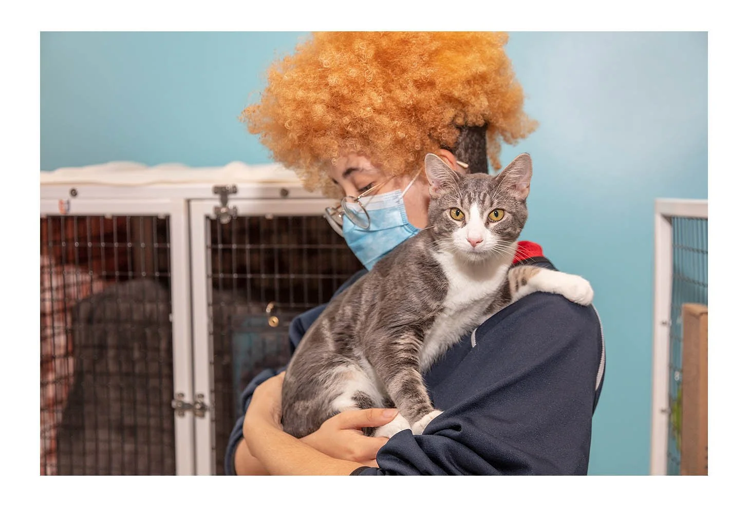 Empty The Shelters Event