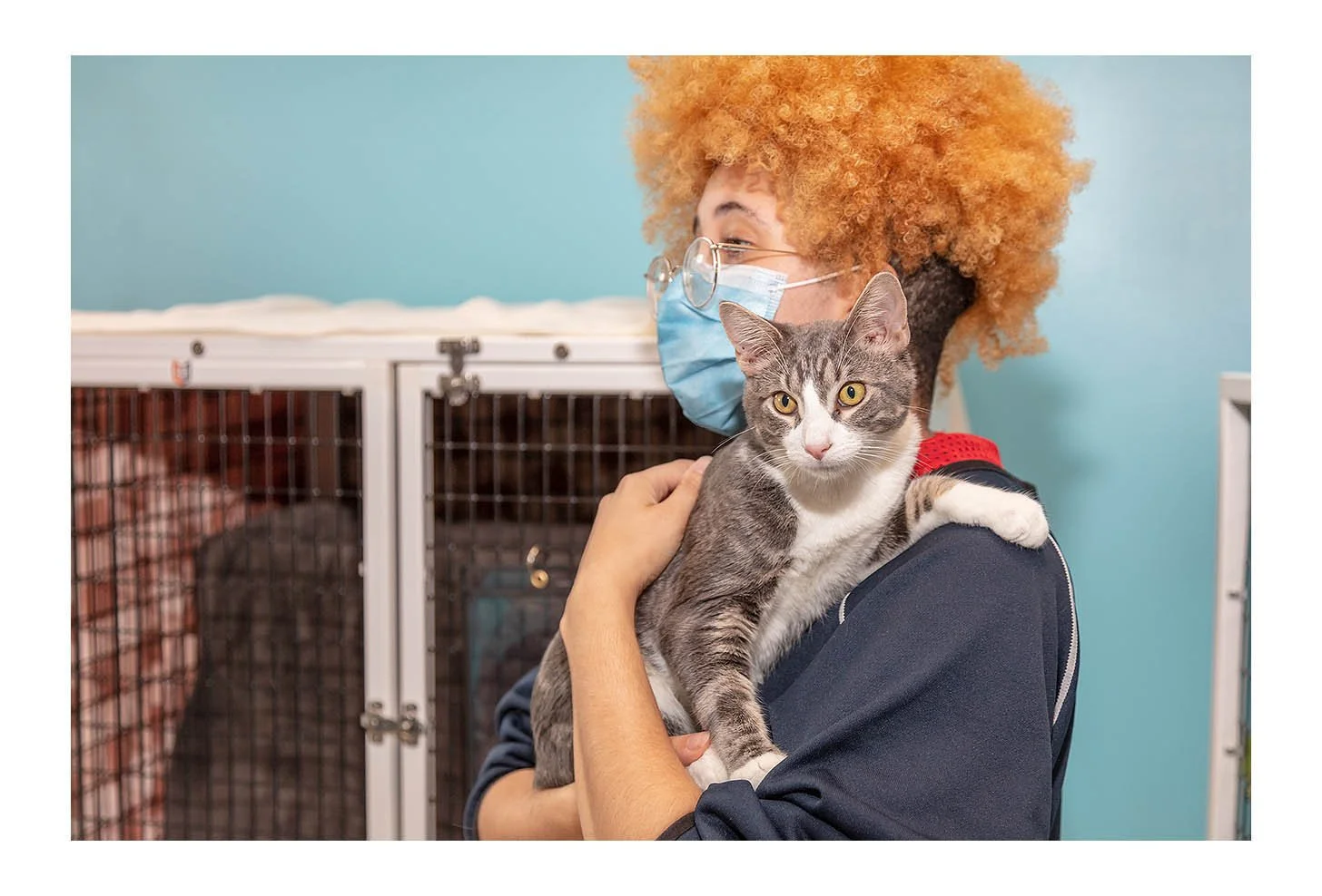 Empty The Shelters Event