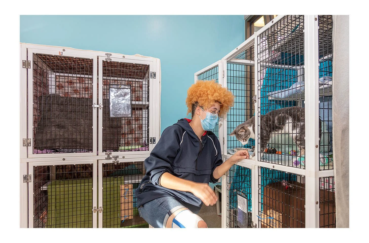 Empty The Shelters Event