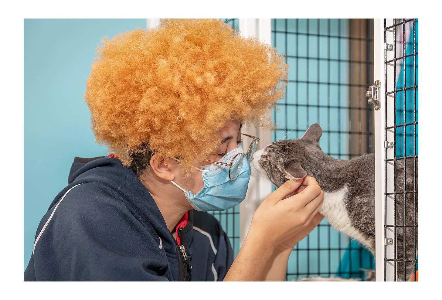 Empty The Shelters Event