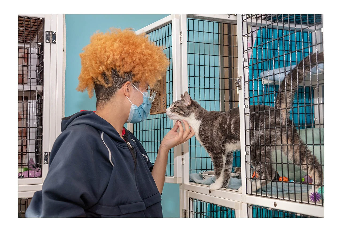 Empty The Shelters Event