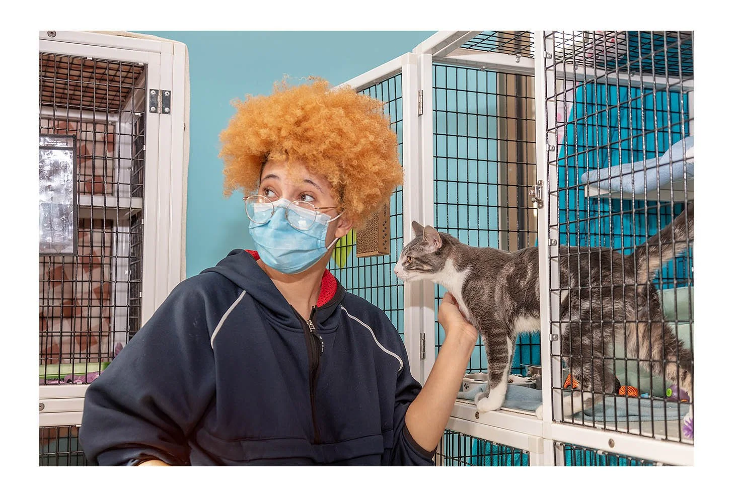 Empty The Shelters Event