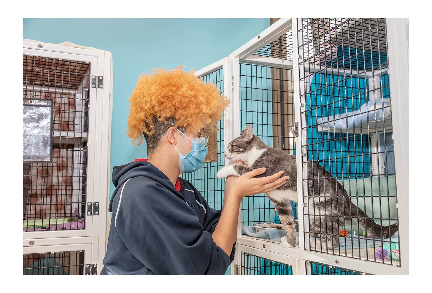 Empty The Shelters Event