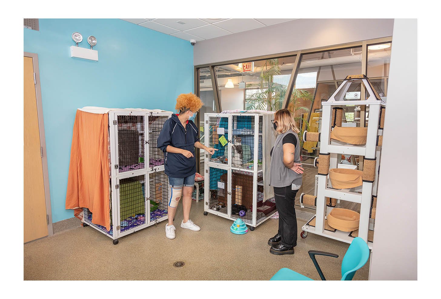 Empty The Shelters Event