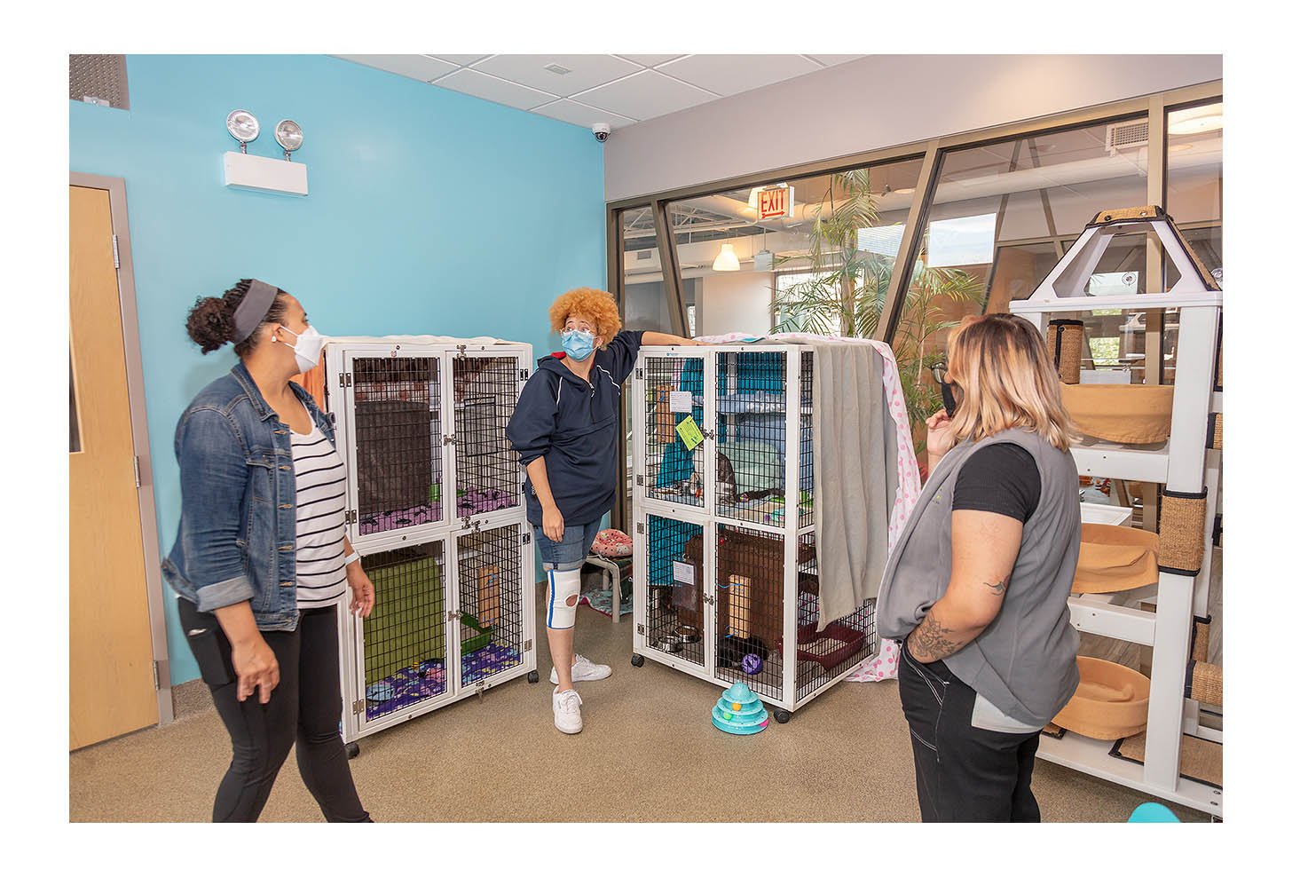 Empty The Shelters Event