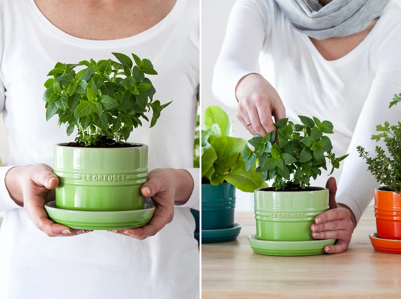 Herb-Planters4.jpg