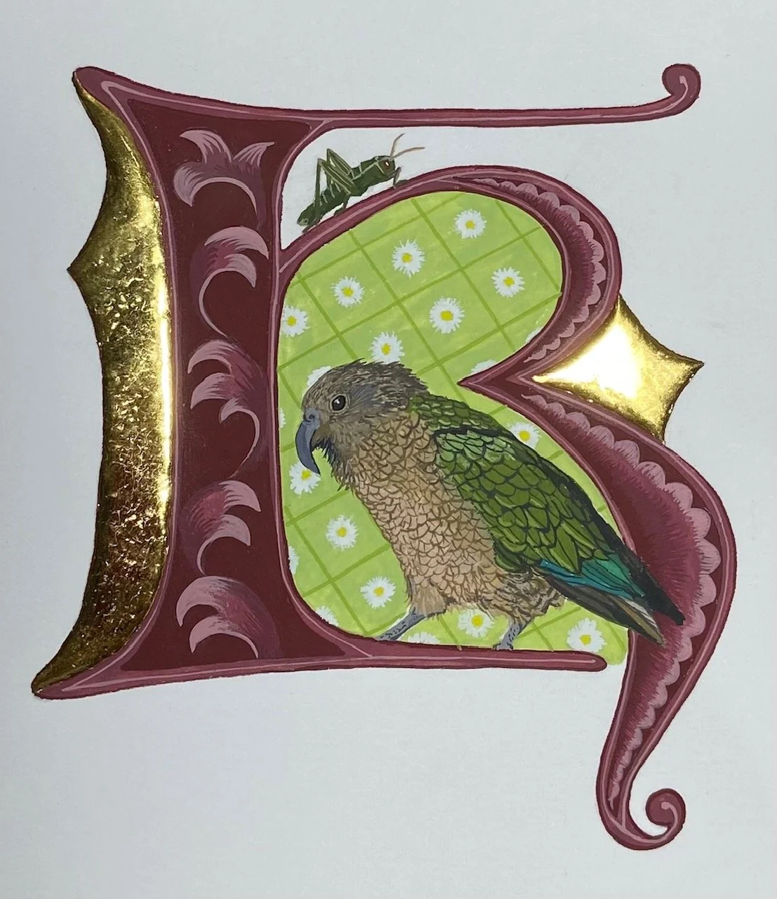 Gilded Kea