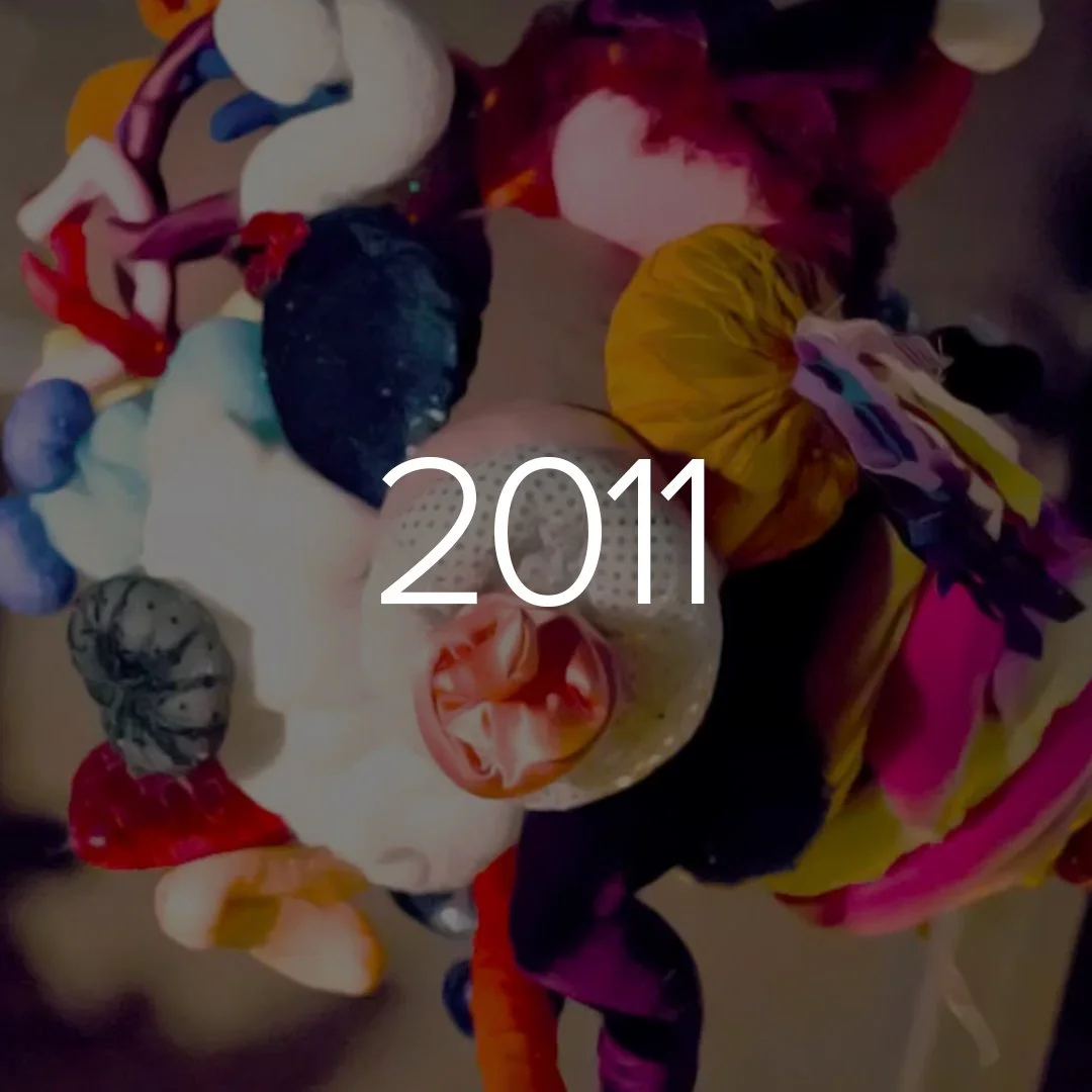capa inst 2011.jpg