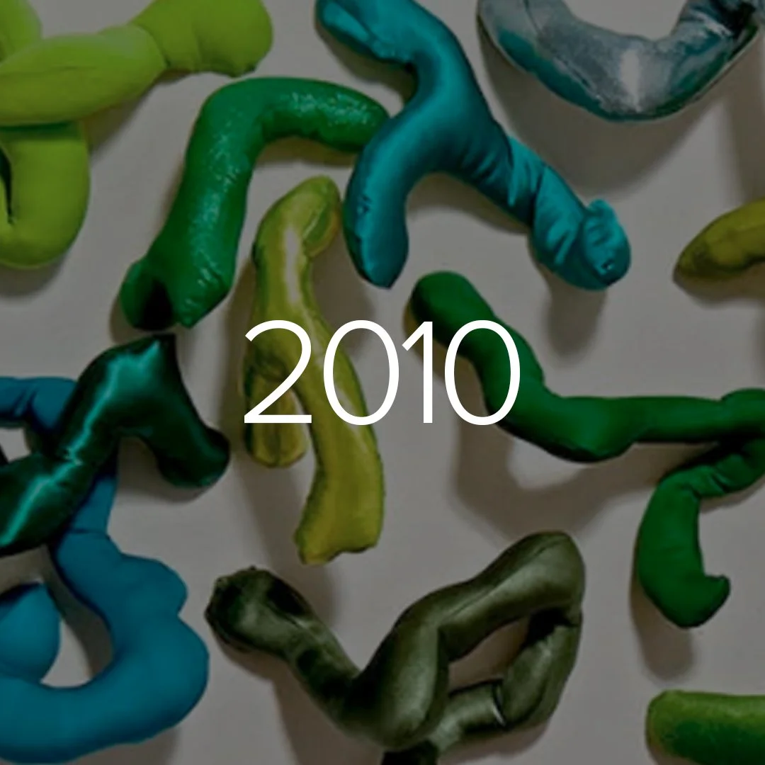 capa sculp 2010.jpg