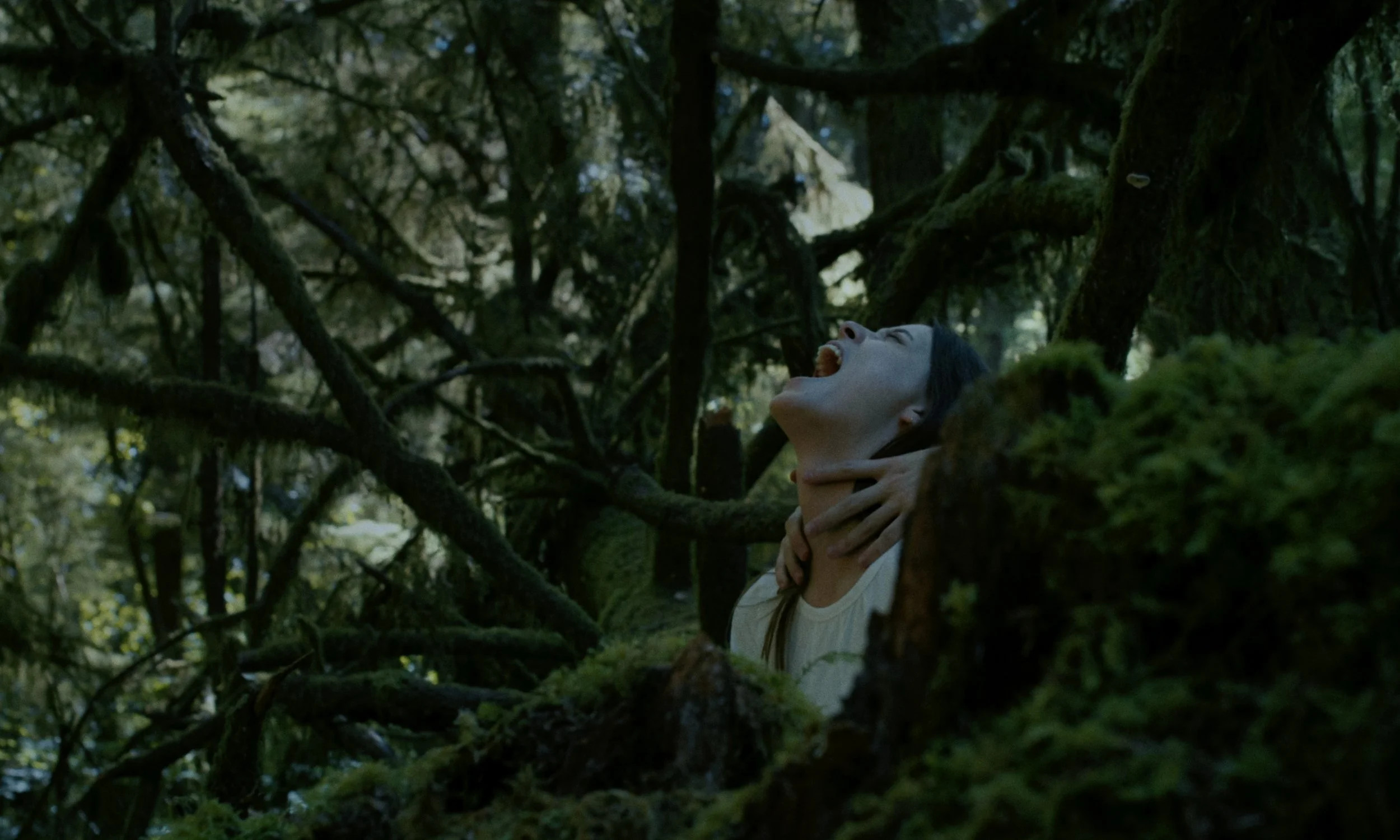 Aria_Still_11.jpg