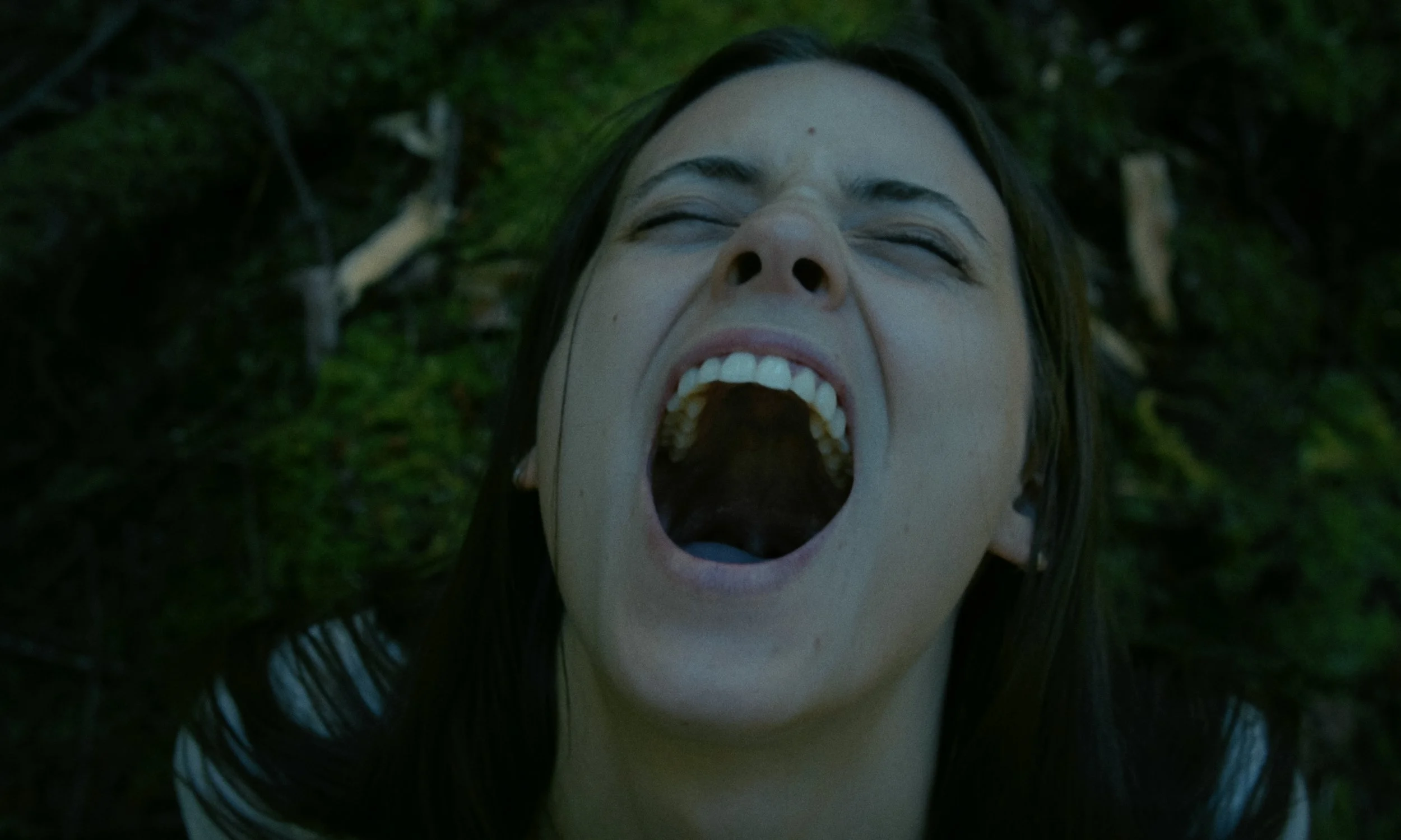 Aria_Still_7.jpg