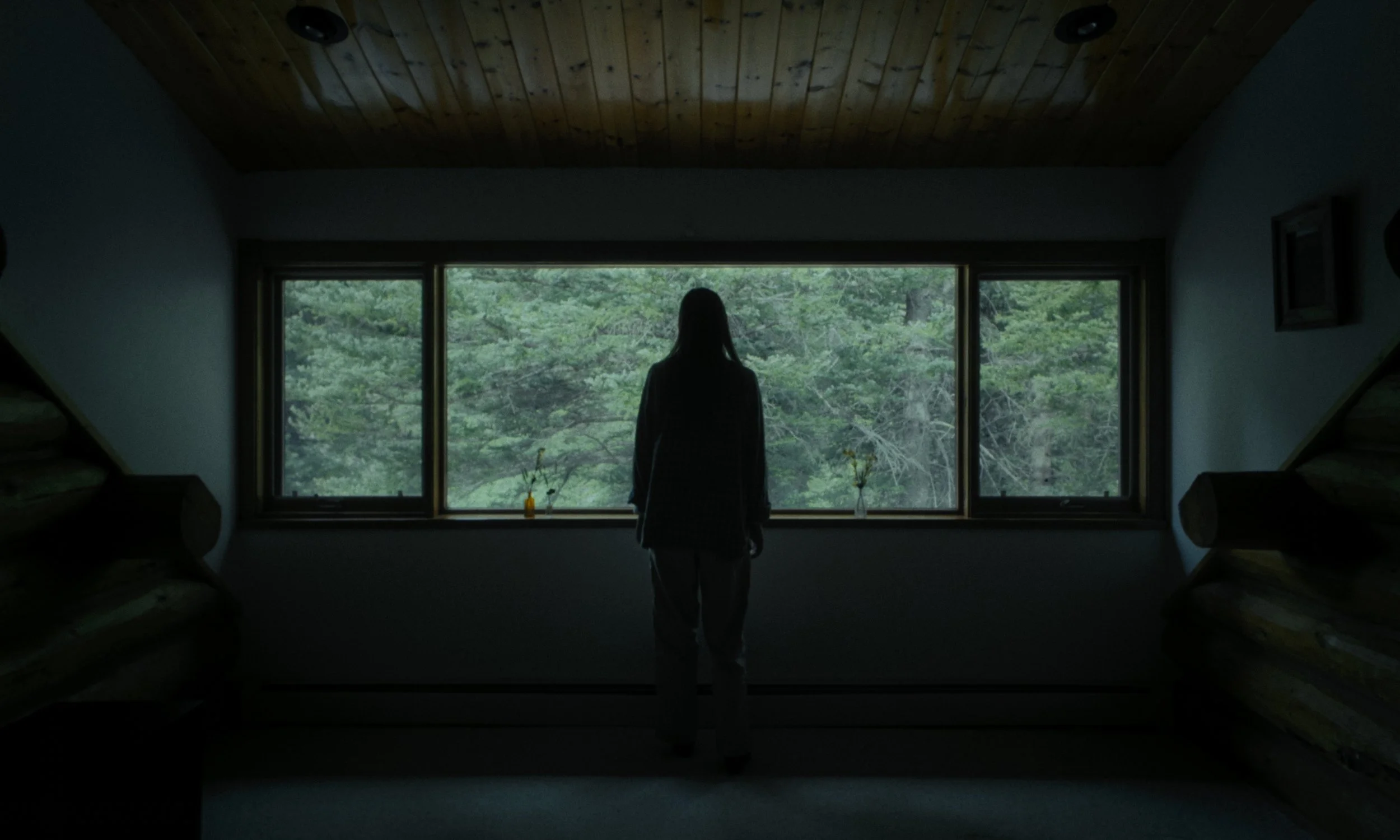 Aria_Still_22.jpg