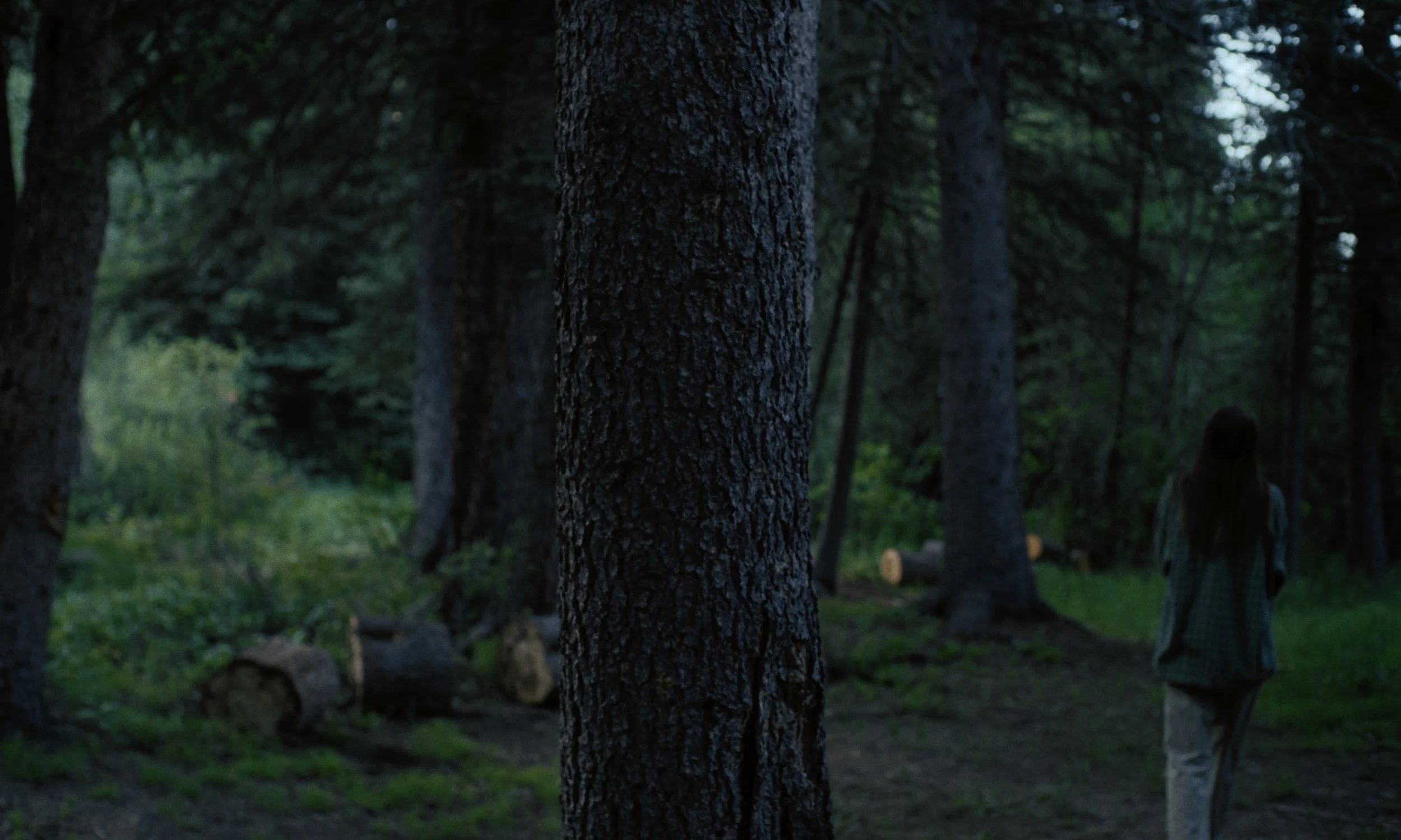 Aria_Still_24.jpg