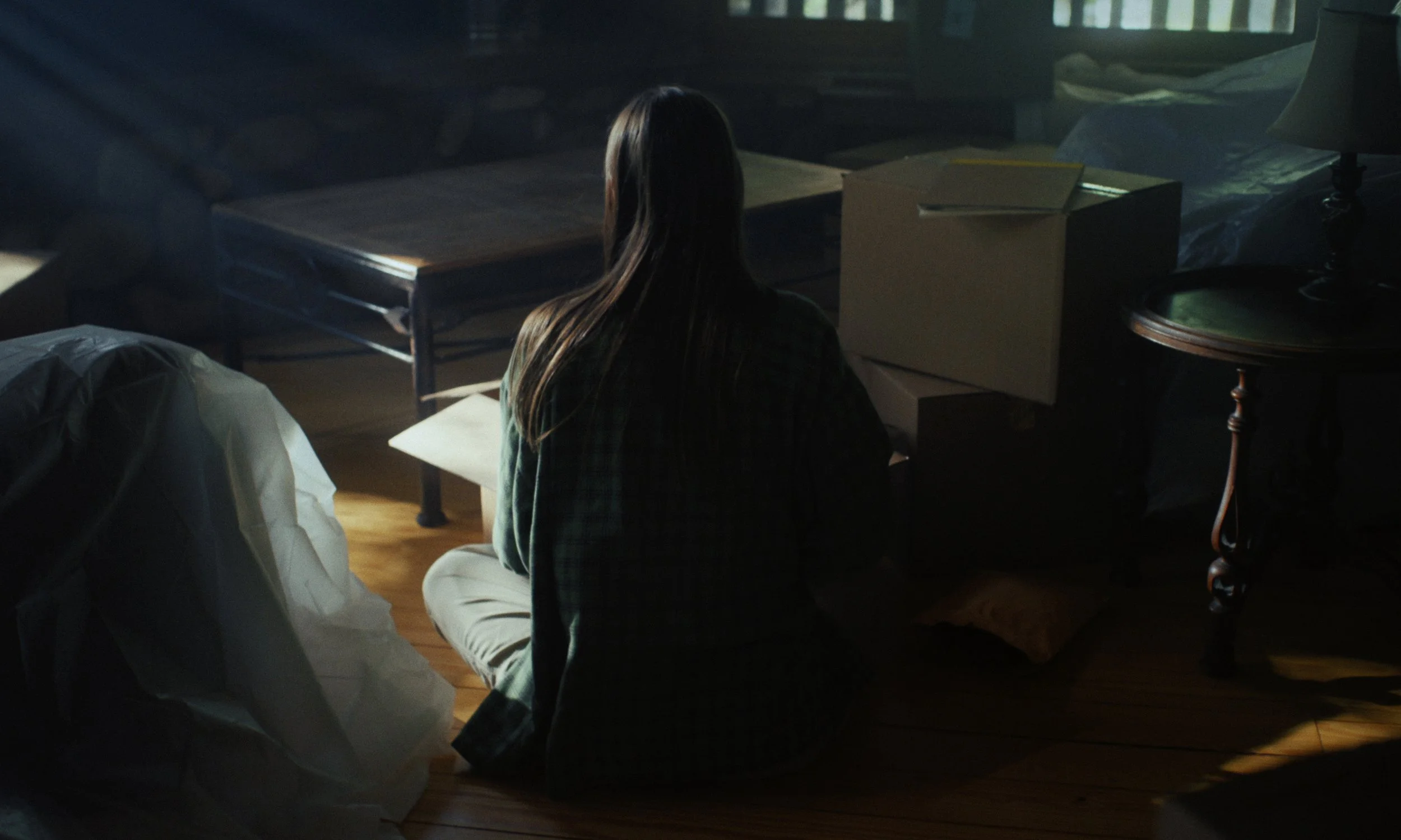 Aria_Still_31.jpg