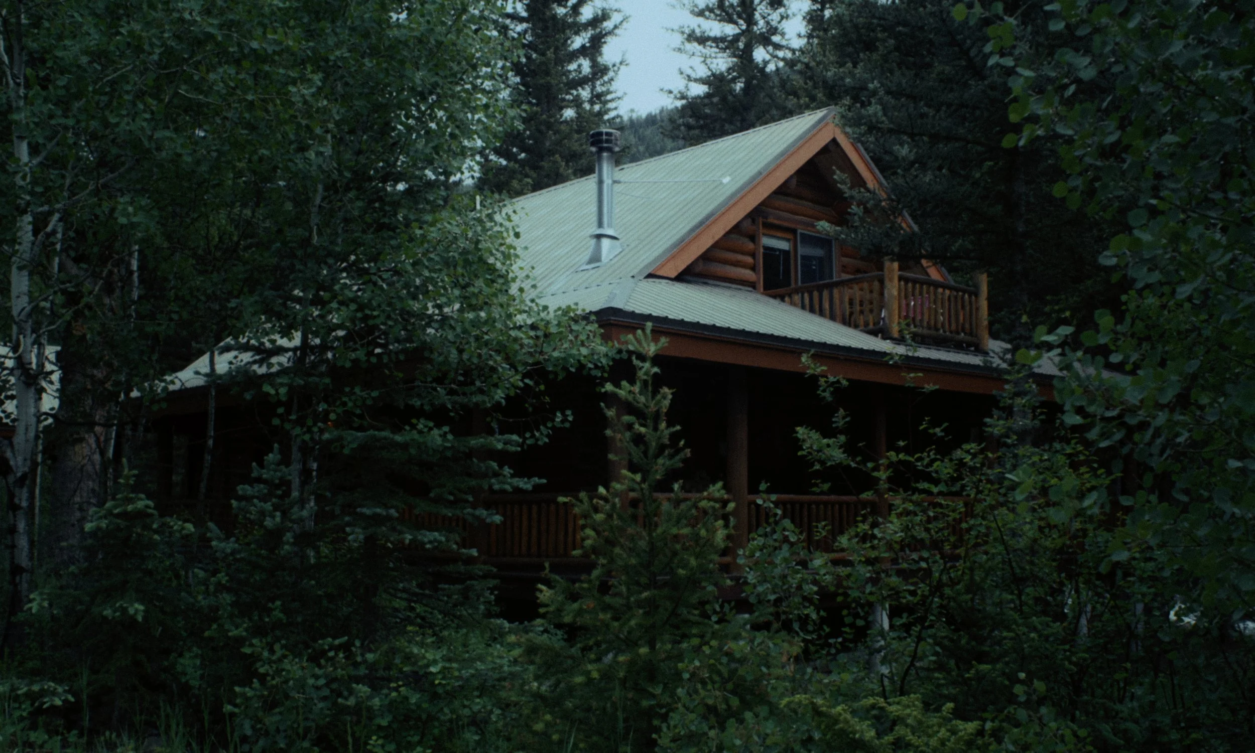 Aria_Still_33.jpg