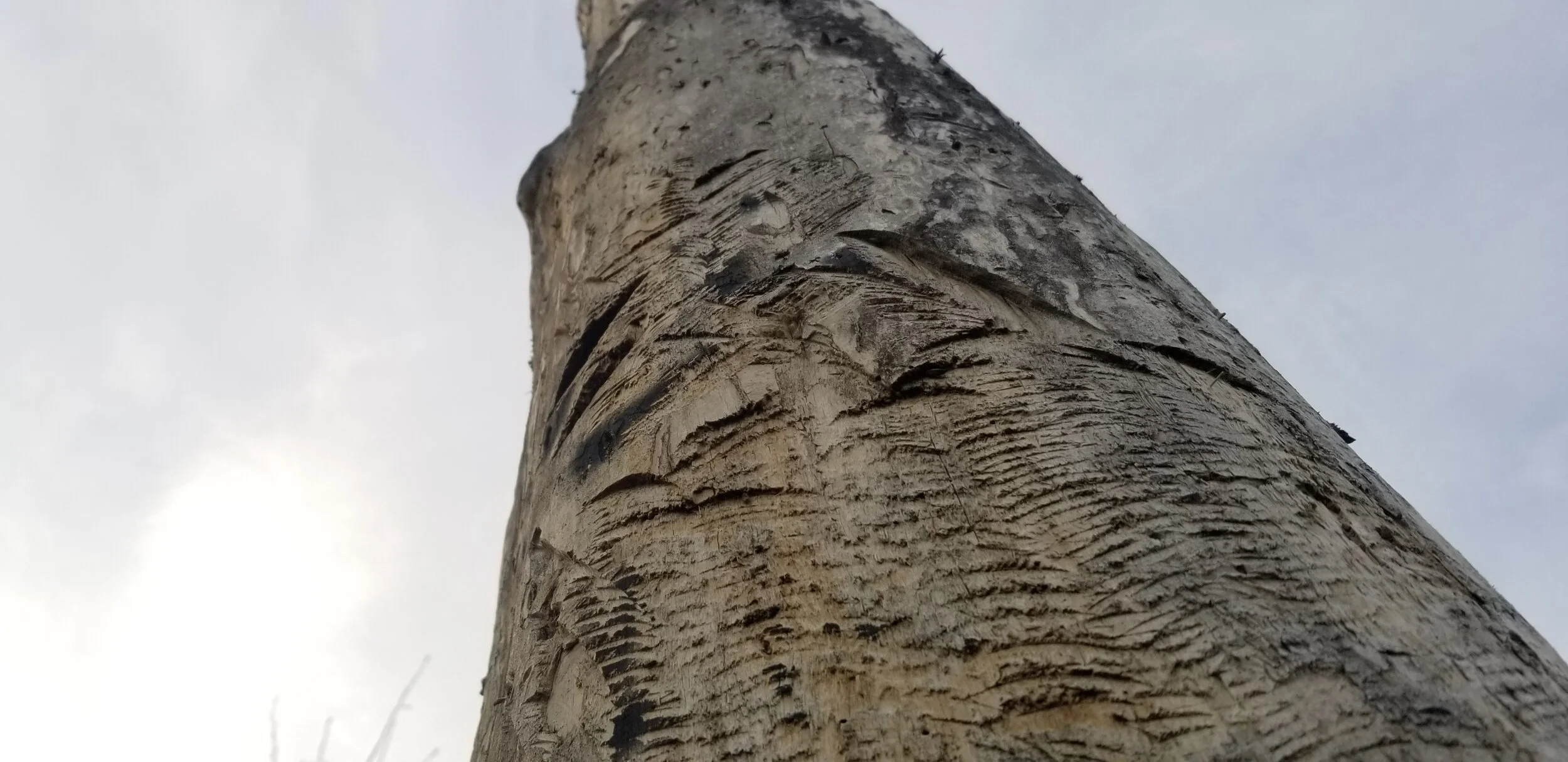 20190817_194947.jpg