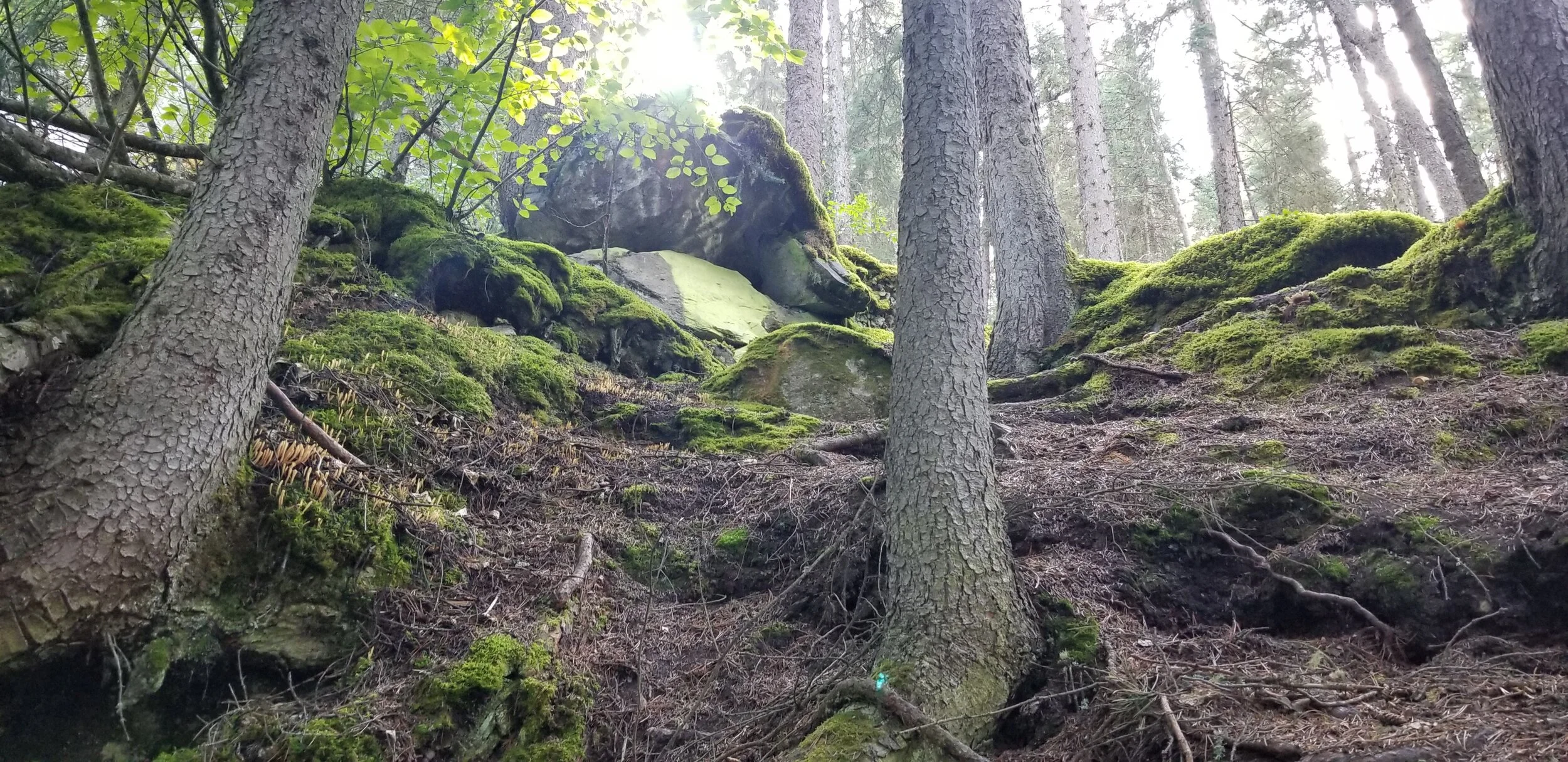 20190813_155019.jpg
