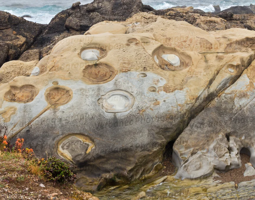 Alien Rocks