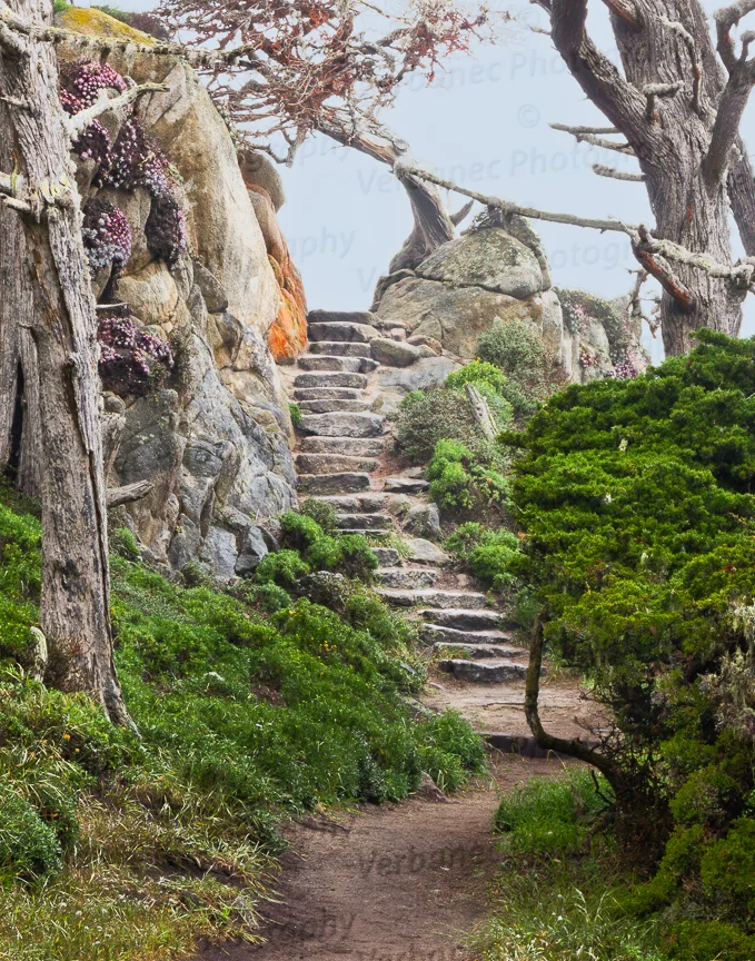 Stairway to Heaven