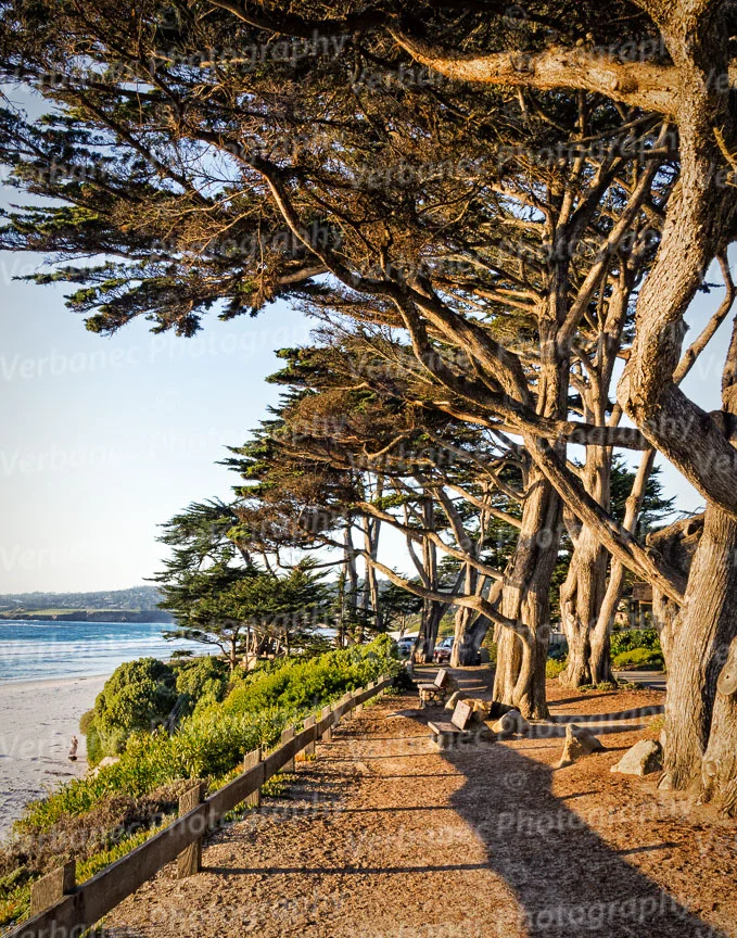 Carmel's Scenic Trail