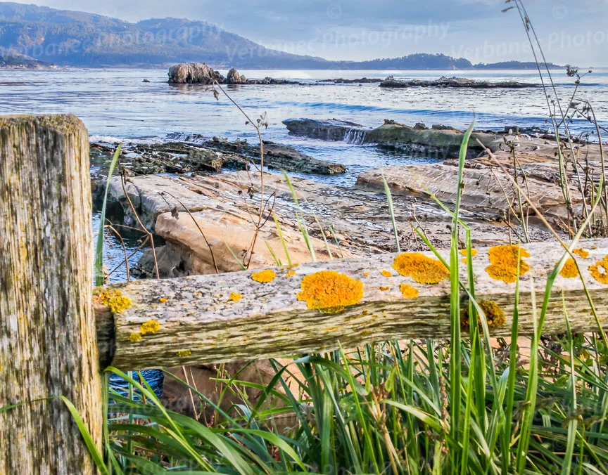 Tranquil Stilwater Cove