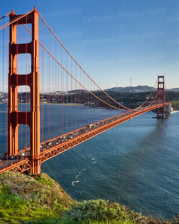 _MG_5733.jpg