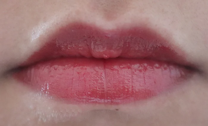 Sisley Paris Phyto-Lip Twist In ‘9 Chestnut’
