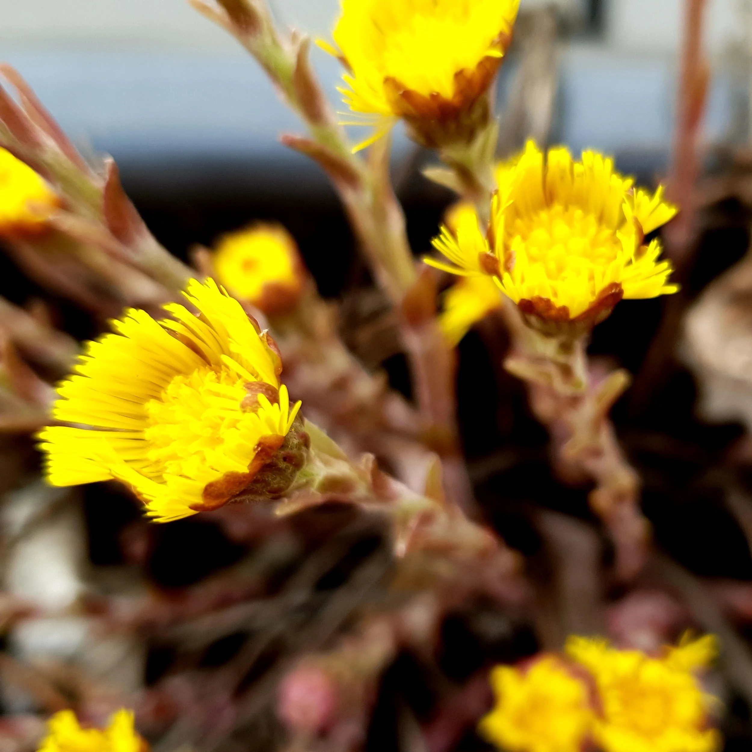 20190331_103622.jpg