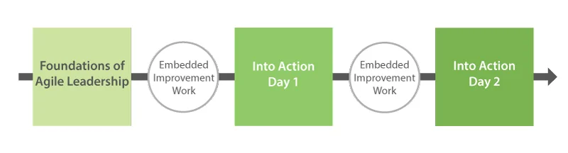 Agile Leadership Into Action Overview