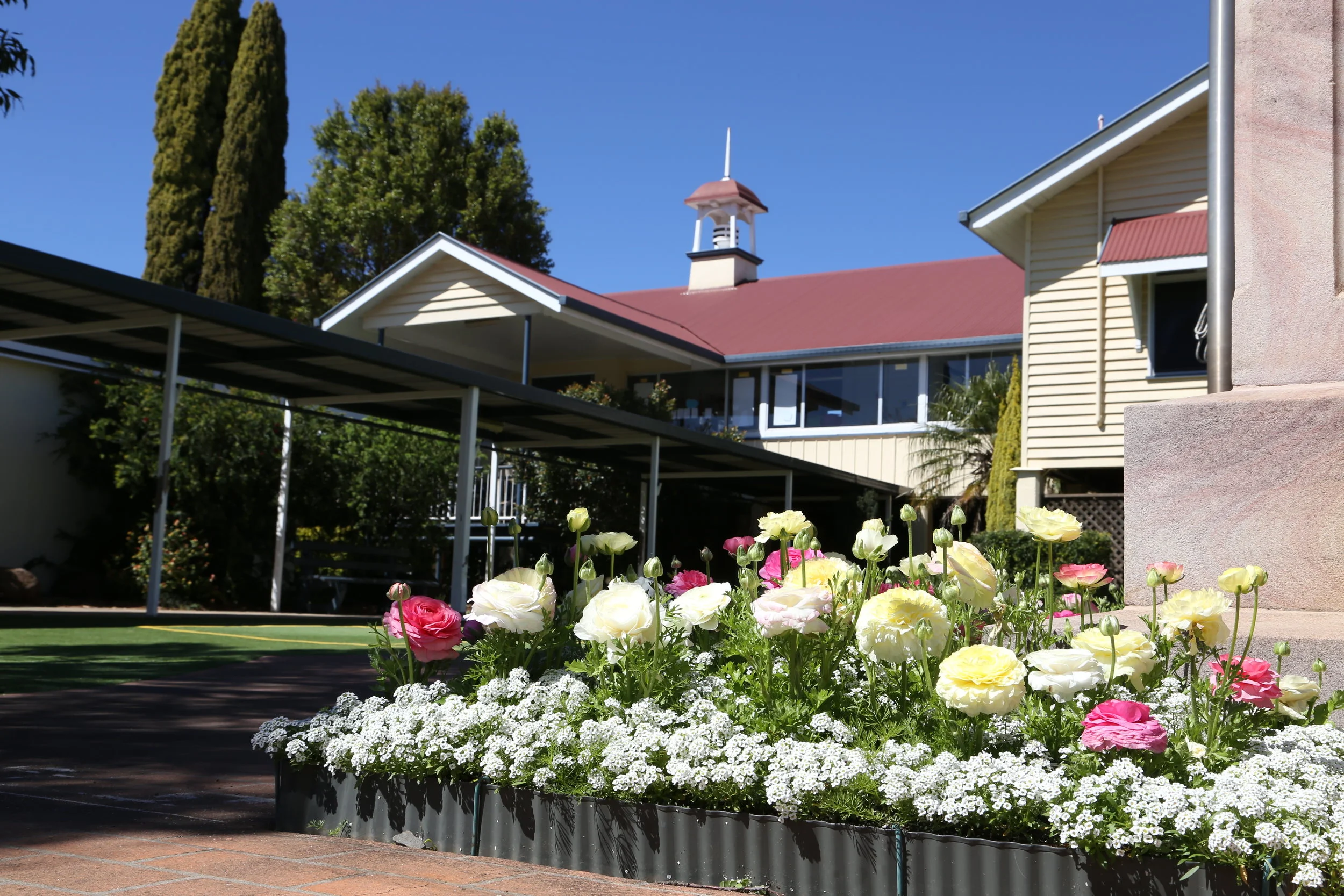 Newtown State School, NSW Australia