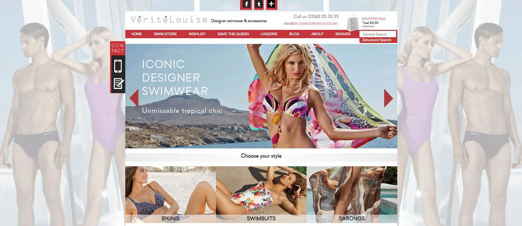 Responsive Wordpress ecommerce website design and development.