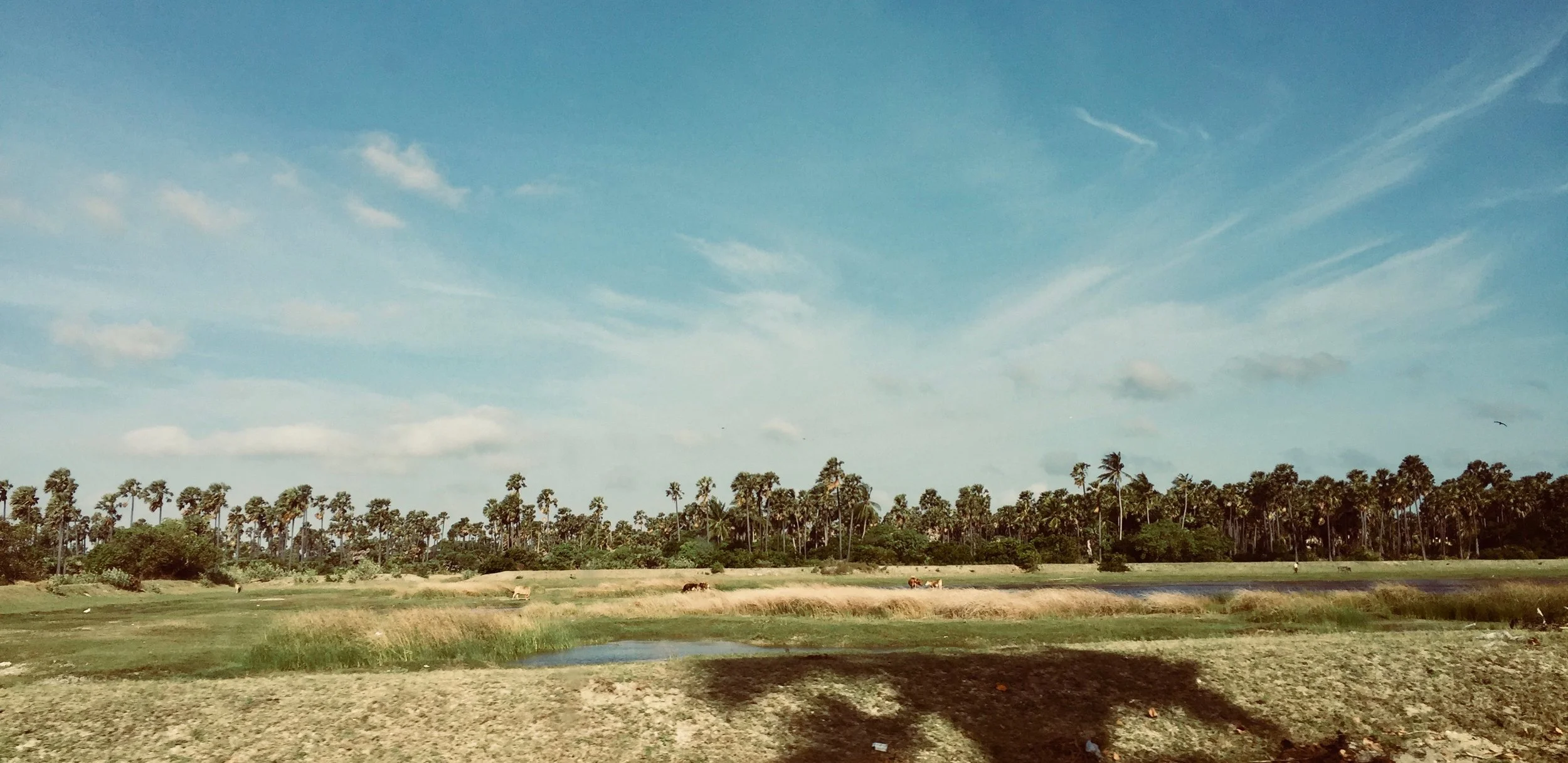Jaffna.jpg
