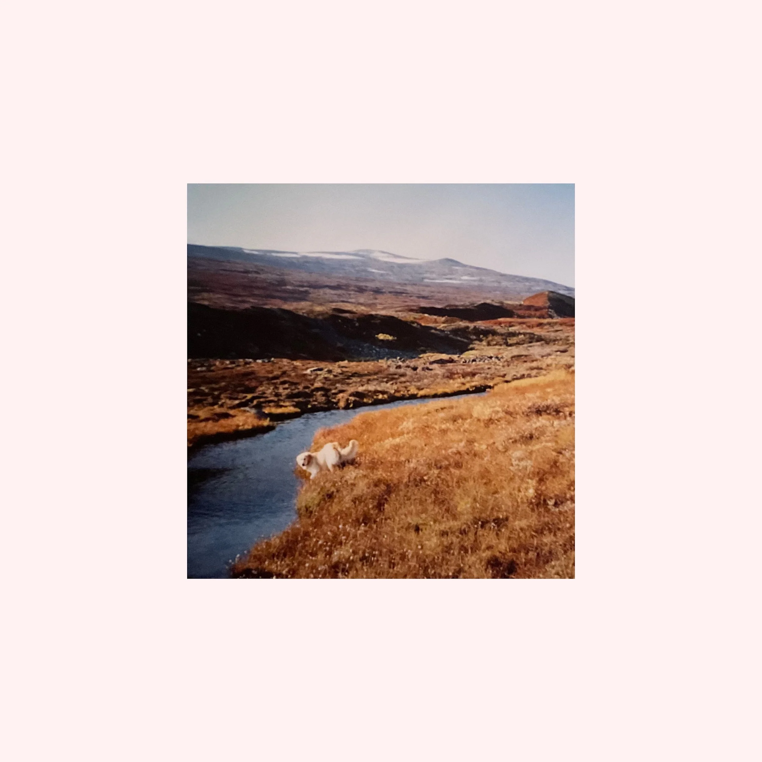 Sju Månar - Ein dag i fjor - COVER.jpg