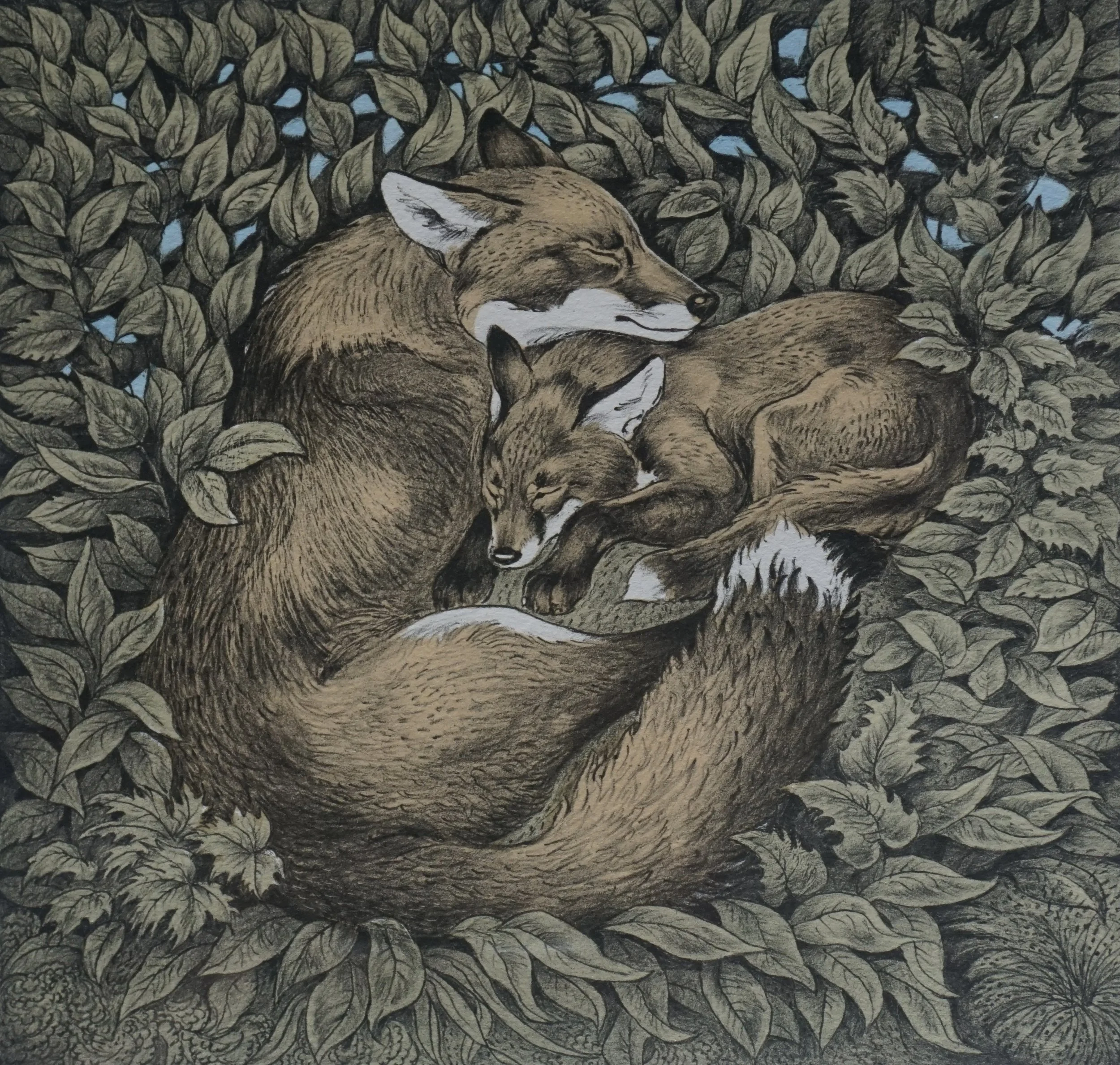 Revemor - Omar Andreen