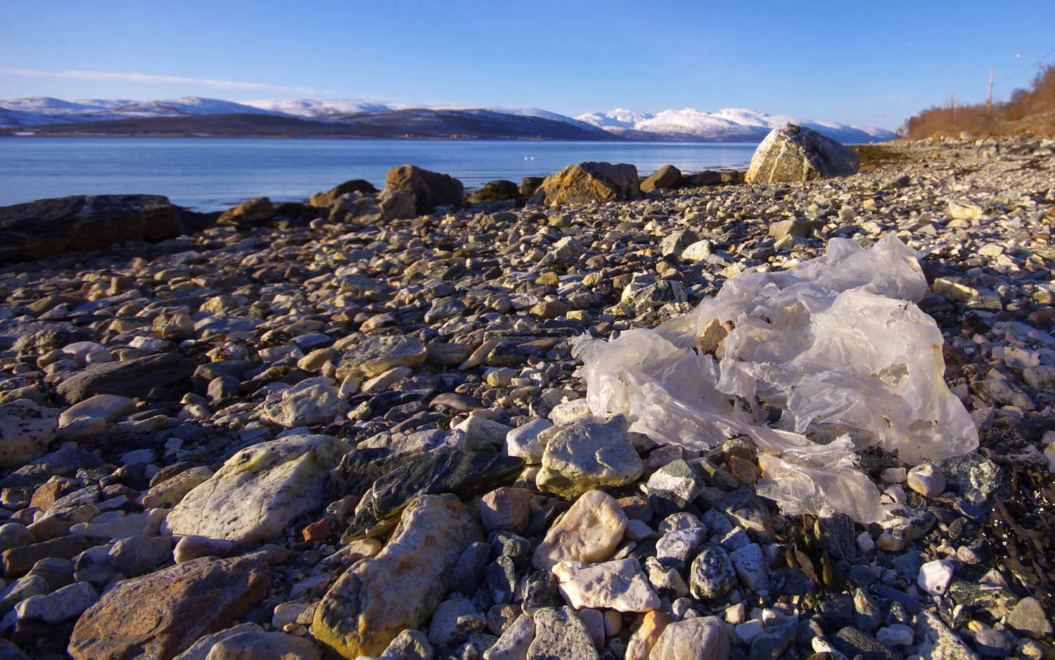 Photo: Plastic pollution in the world's oceans