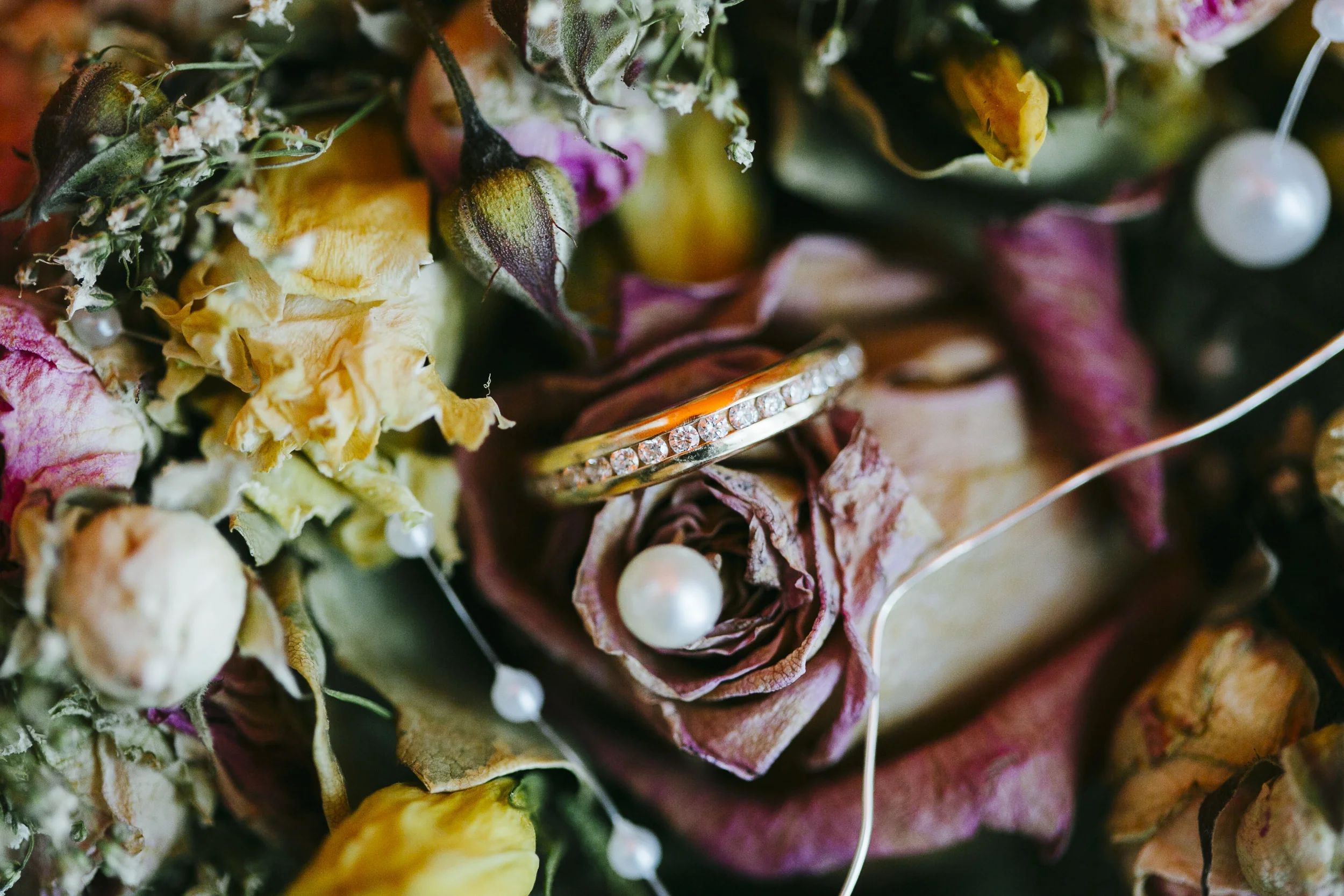Diesner_Amor-Est_J+B_001.jpg