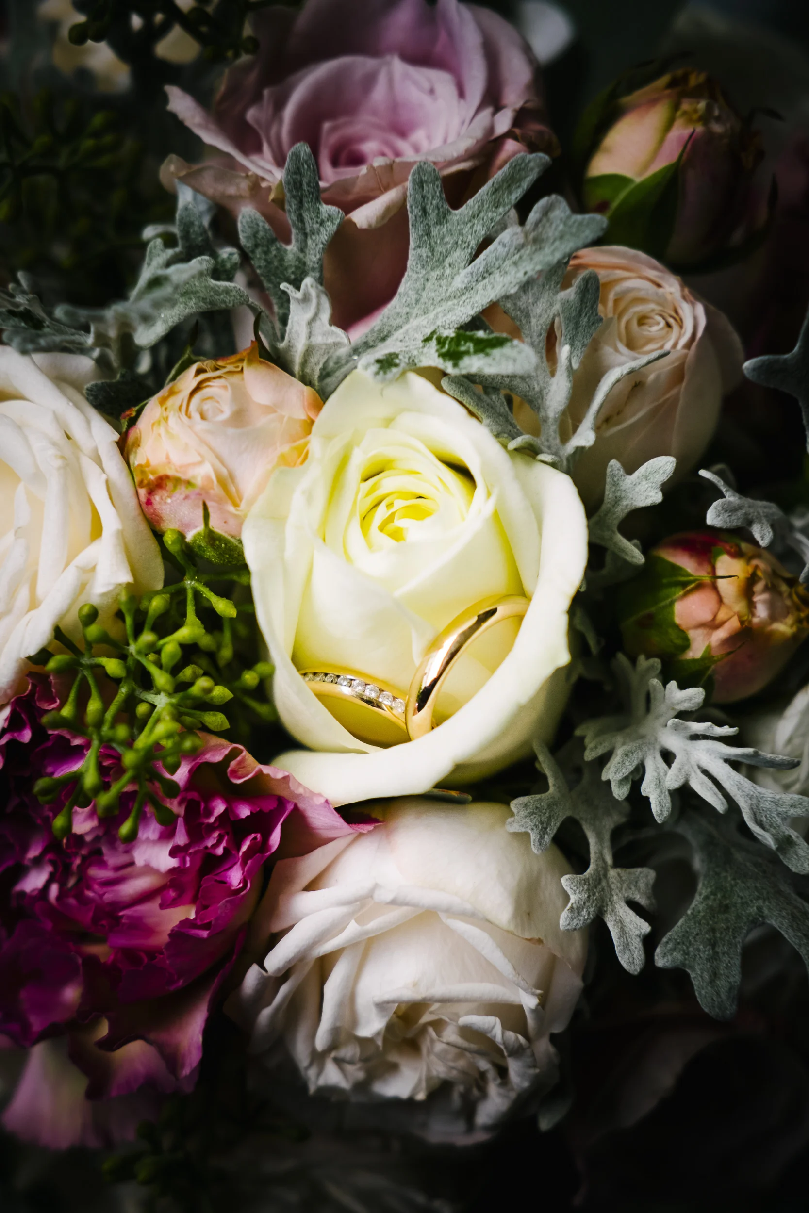 Diesner_Amor-Est_J+B_038.jpg
