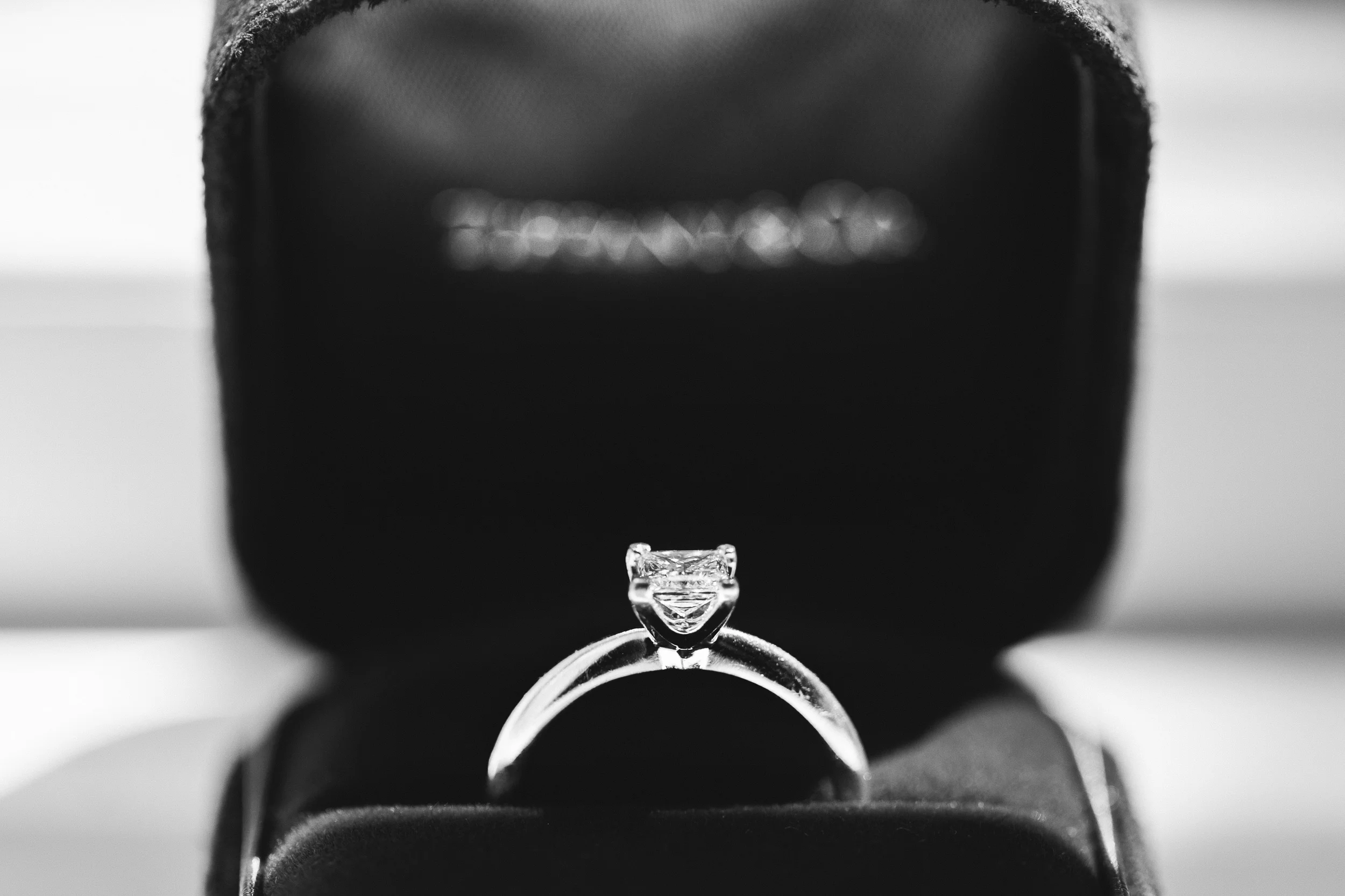 Diesner_Amor-Est_L+C_010.jpg