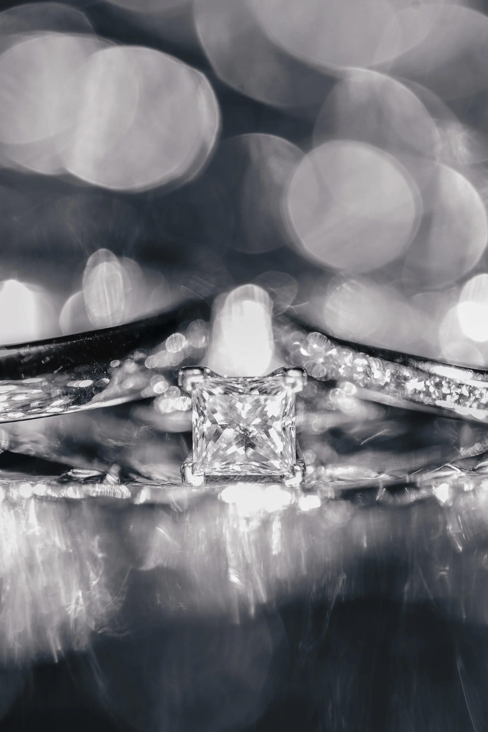 Diesner_Amor-Est_L+C_047.jpg