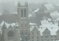 Neither snow, nor cold......