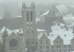 Neither snow, nor cold......